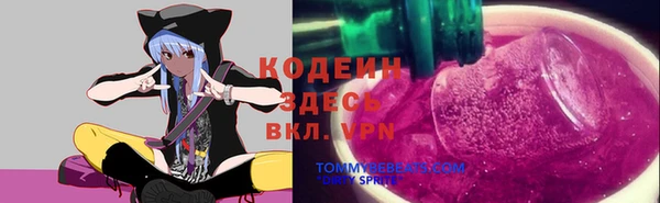 первитин Гатчина