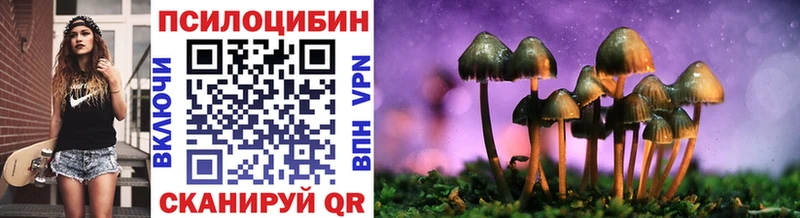 Галлюциногенные грибы GOLDEN TEACHER  где купить наркотик  Выкса 
