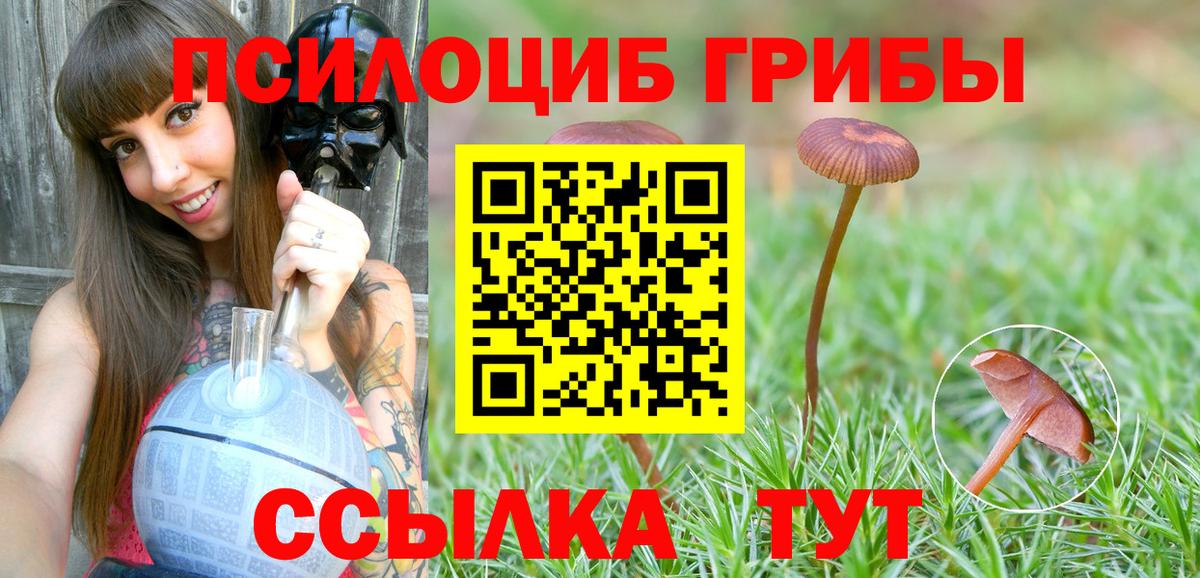 Выкса  Псилоцибиновые грибы MAGIC MUSHROOMS  Вход с VPN  Псилоцибиновые грибы Magic Shrooms 